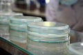 Petri dishes are used for breeding microorganisms, viruses and germs in the microbiological laboratory.